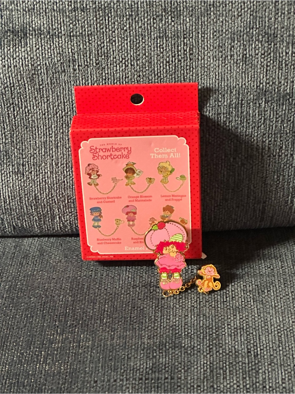 Strawberry Shortcake Character & Pets Pin